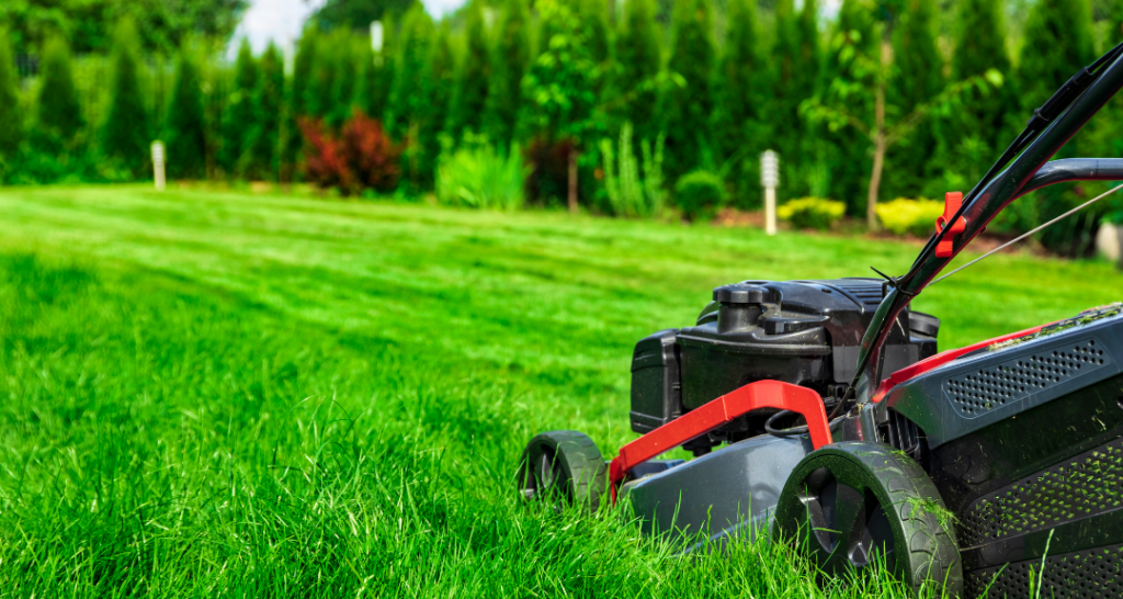 Lawns By Mason. Serving Brevard County Florida. From mowing and tree services to custom landscape designs, Lawns by Mason delivers the expert care your yard deserves.