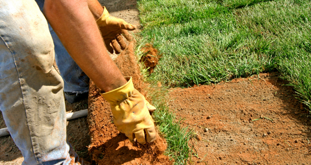 Lawns By Mason. Serving Brevard County Florida. From mowing and tree services to custom landscape designs, Lawns by Mason delivers the expert care your yard deserves.