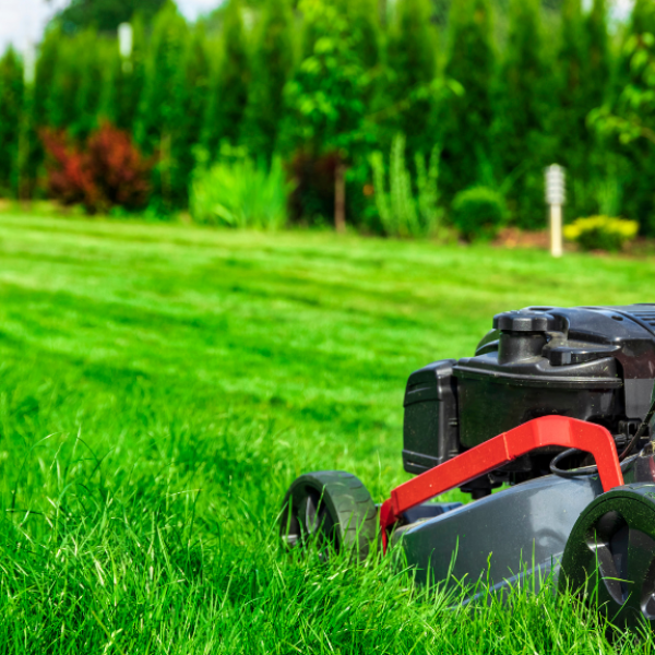 Lawns By Mason. Serving Brevard County Florida. From mowing and tree services to custom landscape designs, Lawns by Mason delivers the expert care your yard deserves.