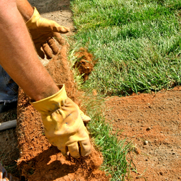 Lawns By Mason. Serving Brevard County Florida. From mowing and tree services to custom landscape designs, Lawns by Mason delivers the expert care your yard deserves.